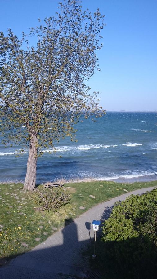 Strandappartement Steinberghaff zur Birk mit Meerblick Steinberg  Exterior foto
