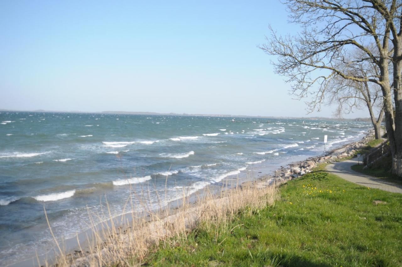 Strandappartement Steinberghaff zur Birk mit Meerblick Steinberg  Exterior foto